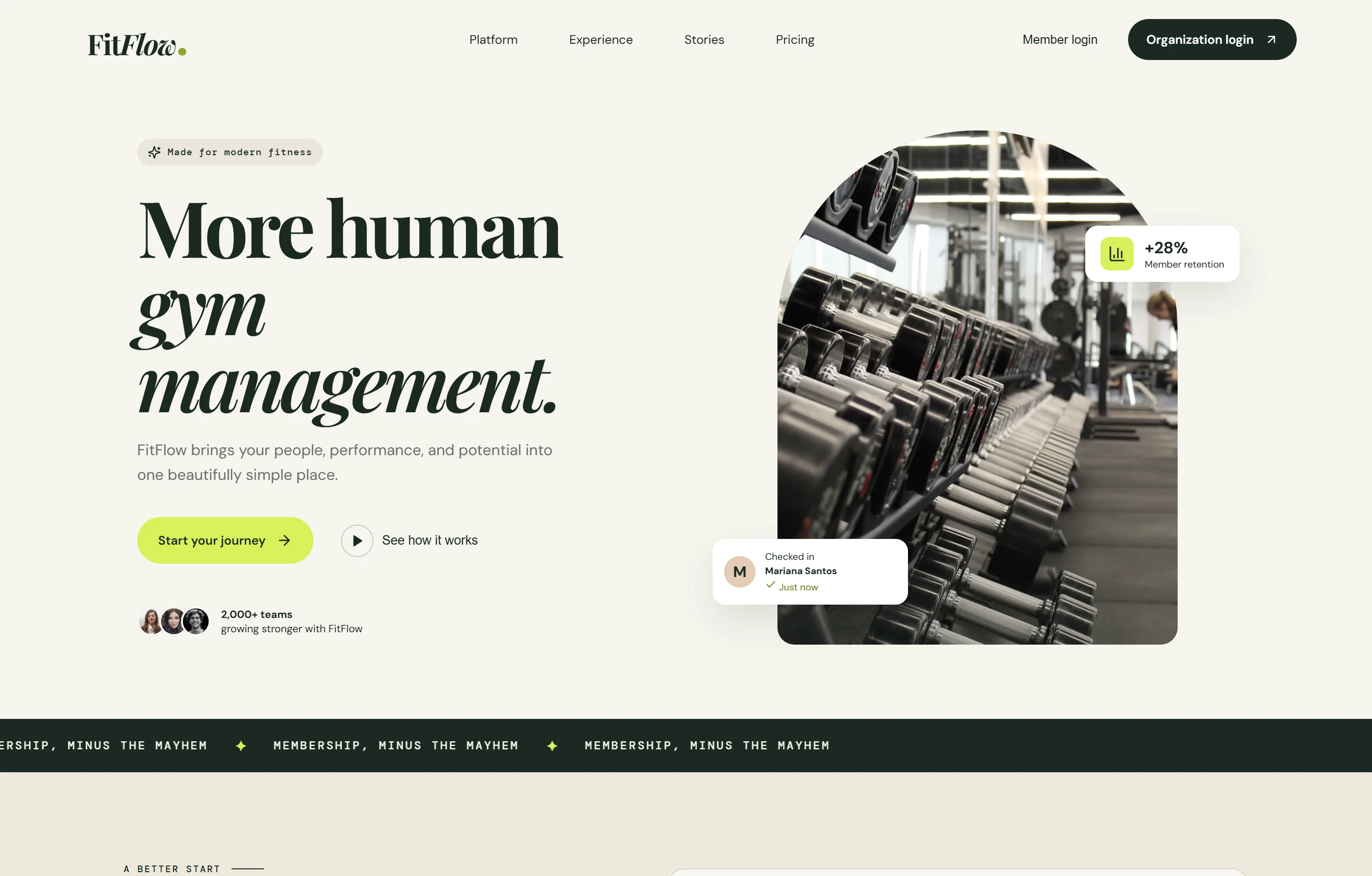 FitFlow website preview
